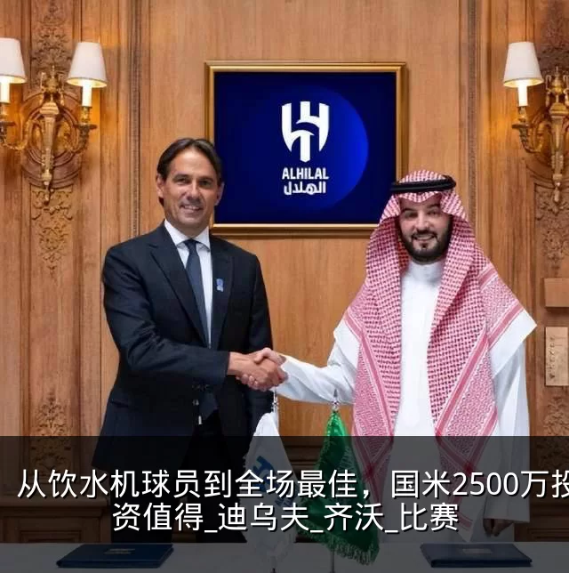 从饮水机球员到全场最佳，国米2500万投资值得_迪乌夫_齐沃_比赛